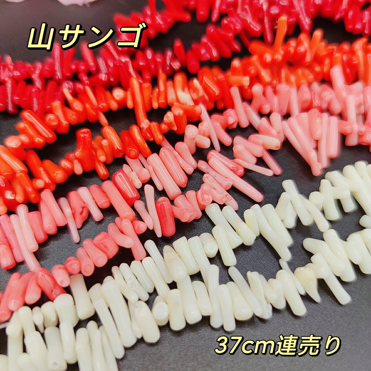 海竹サンゴ（染 コーラル ）さざれ石 37cm 連売り