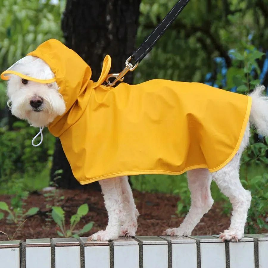 犬用のレインウェアで雨の日のお出掛けも快適に♪夜になると光る機能もあるので暗い道でのお散歩も安心です。ご注意：ペット用品なので、衛生上、サイズ交換、返品などのご対応しかねます。　　　　ご了承ください。■素材：ポリエステル【サイズについて】測り方により誤差が生じる場合がございます。同じサイズでもカラーやデザインによって大きさが異なる場合もございます。【衣類・バッグ等、縫製品について】製品の為、縫製基準が日本と異なるケースもあることから縫製が甘い・雑・糸の始末ができていない等が見受けられる場合もございます。※上記理由による返品、交換はお断りする場合がございます※犬用のレインウェアで雨の日のお出掛けも快適に♪夜になると光る機能もあるので暗い道でのお散歩も安心です。ご注意：ペット用品なので、衛生上、サイズ交換、返品などのご対応しかねます。　　　　ご了承ください。■素材：ポリエステル【サイズについて】測り方により誤差が生じる場合がございます。同じサイズでもカラーやデザインによって大きさが異なる場合もございます。【衣類・バッグ等、縫製品について】製品の為、縫製基準が日本と異なるケースもあることから縫製が甘い・雑・糸の始末ができていない等が見受けられる場合もございます。※上記理由による返品、交換はお断りする場合がございます※