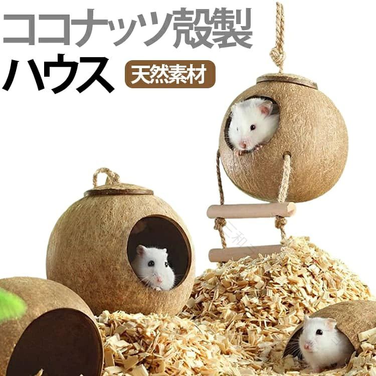 ココナッツハウス 小動物用 大サイズ フクロモモンガハウス8個セット 送料無料 imgrc0127299071.jpg