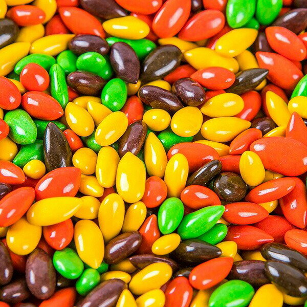 [ヘテ] ひまわり種チョコ / 40g チョコ...の紹介画像3