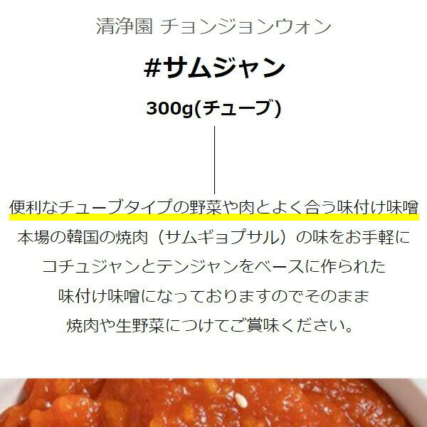 [清浄園] スンチャン サムジャン / 300g (チューブ)味付け味噌 味付けテンジャン サムギョプサル味噌 ageich1-10000188 Good Korea Mart サンプル画像2