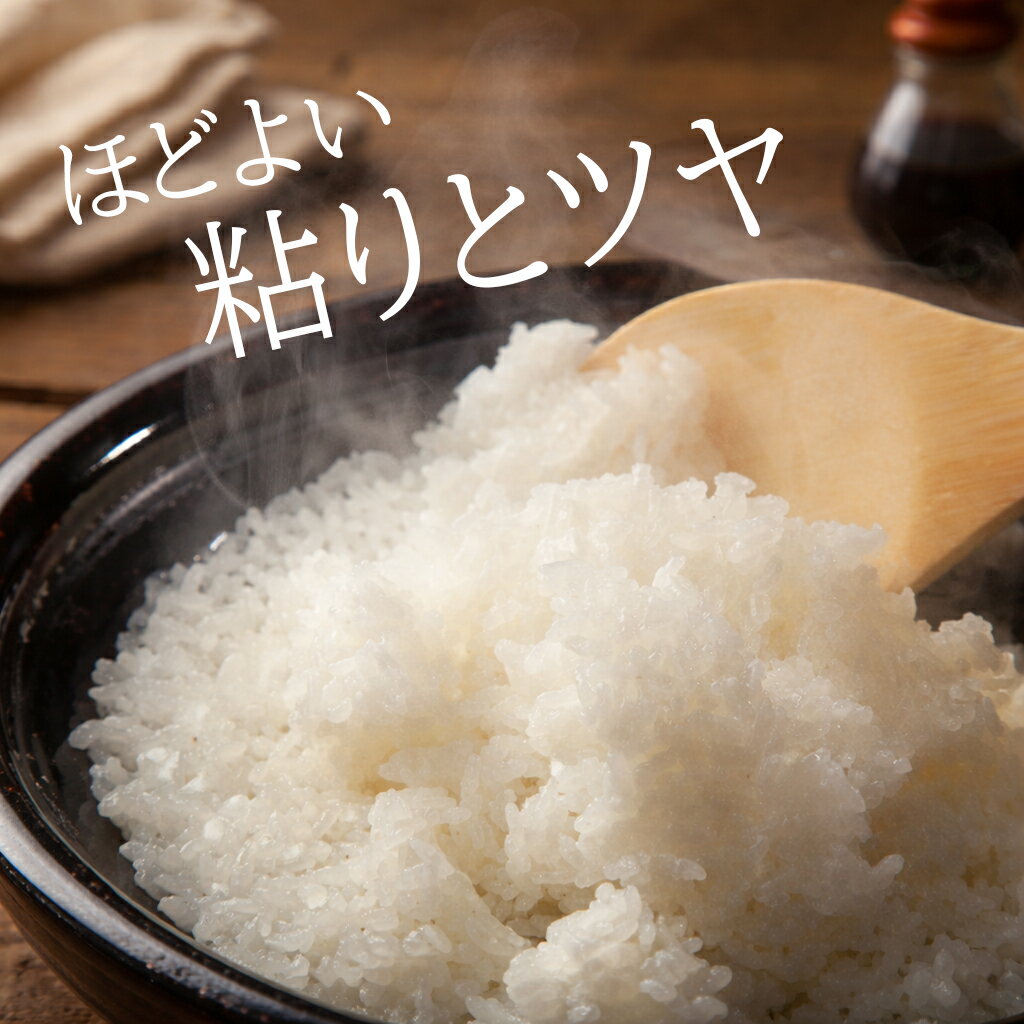 特価！数量限定 令和7年産新米 5kg 白米 米 お米 新米 送料無料 業務用