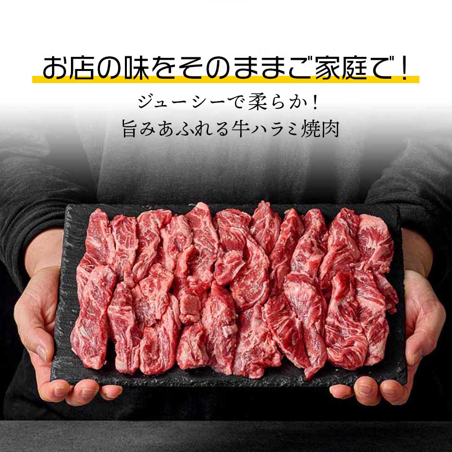 Good Korea Martの[牛肉] 牛上ハラミ スライス US産 250g~500g アメリカ産 選べる 厚きり 小分け キャンプ飯 ジューシー 柔らかい 旨味 希少部位 焼肉 焼き肉 焼肉 BBQ バーベキュー （冷凍）｜アングル3