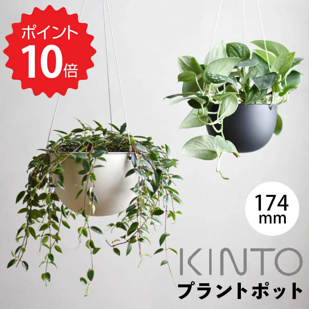 キントー KINTO プラントポット201 174mm ベージュ 29229 プランター おしゃれ 観葉植物 吊るす ぶら下げ ワイヤー 鉢穴付き 鉢 野菜 植物