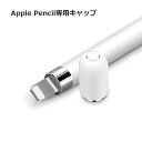 【3日間限定 ポイント5倍】 Apple Pencil 交換用キャップ キャップ カバー ホルダー アップルペンシル Appleペンシル iPad Pro Mini 第一世代 第二世代 第7世代 第8世代 ペンキャップ 交換用 マグネット ホワイト 白 White Agenstar 1000円ポッキリ 母の日