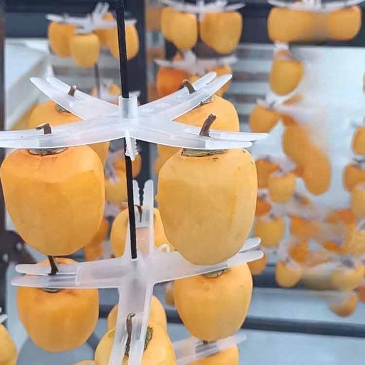 干し柿クリップ 干し柿 大量の干し柿作業がとっても簡単に！干柿吊るし具 20個セッ...