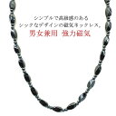 磁気ネックレス レディース メンズ ネックレス 健康アクセサリー マグネット式 健康用品 プレゼント 男女兼用 脱着簡単 お洒落 贈り物 高齢者 送料無料