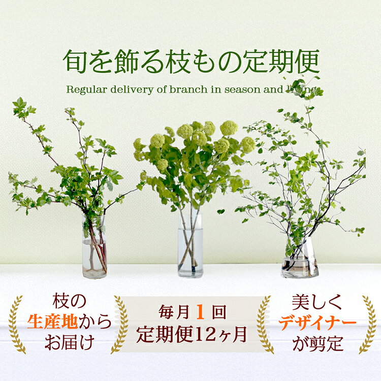 楽天市場】ドウダンツツジ（カラーマルチカラー）の通販