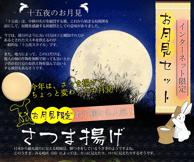 送料無料 十五夜 さつま揚げ 鹿児島 お月見セットA さつまあげの揚立屋 ネット限定...