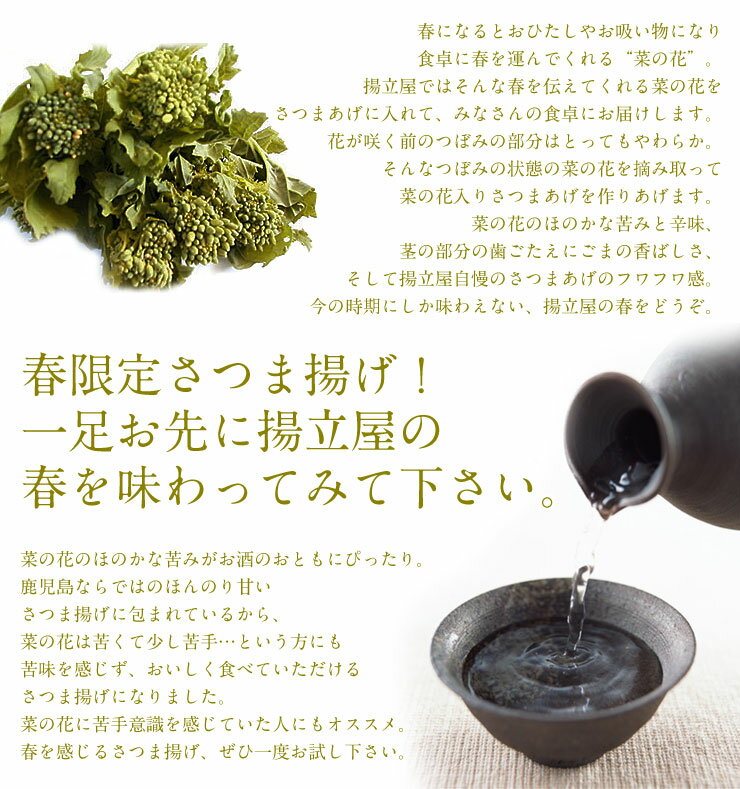毎日これ1本 EPA ＋ DHA ソーセージ 機能性表示食品 日本水産 ニッスイ 50g 2本束