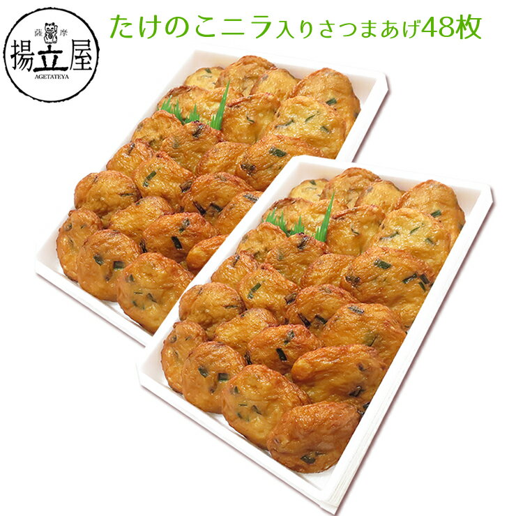 さつま揚げ 送料無料 【たけのこニラ入りさつまあげ 48枚入りセット 箱2段】 ネット限定 揚立屋 内祝 お礼 誕生日祝 お届けは6月9日まで