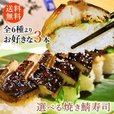 大箱 選べる3本!!【送料込み】ごま味噌焼き鯖寿司 穴子...