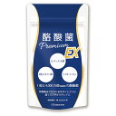 【新発売記念500円OFF!!】＼新商品／【エーギフト公式】酪酸菌プレミアムEX 48億個 ビフィズス菌 フラクトオリゴ糖 短鎖脂肪酸 120粒入 国内産 酪酸菌 ラクトフェリン オリゴ糖 食物繊維 イヌリン ビタミンB群 菌活 サプリ