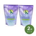 緑の魔女 トイレ用洗剤 詰替用 360mL【掃除用品】2パックセット【p-up】