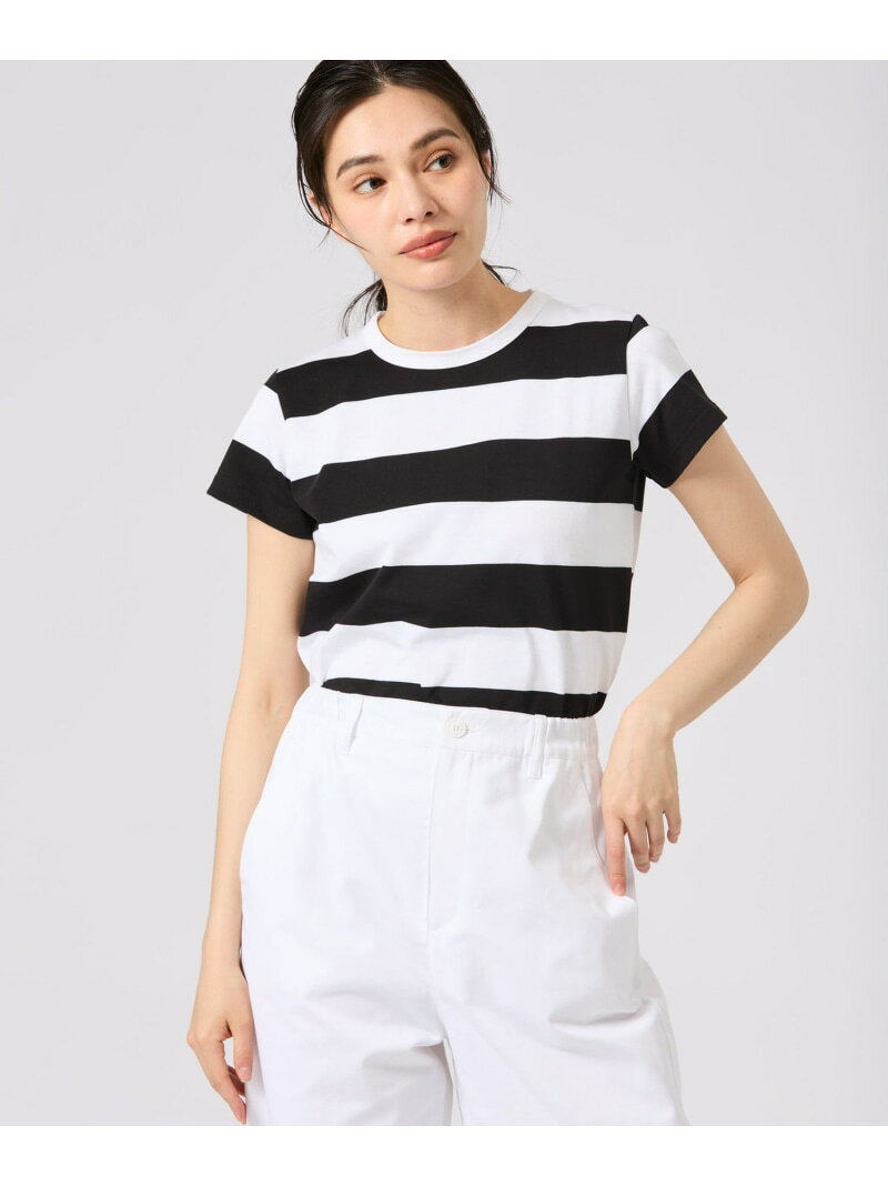 太ボーダー コットン 半袖 Tシャツ 