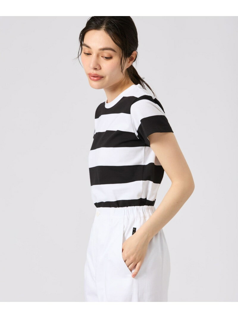 太ボーダー コットン 半袖 Tシャツ 