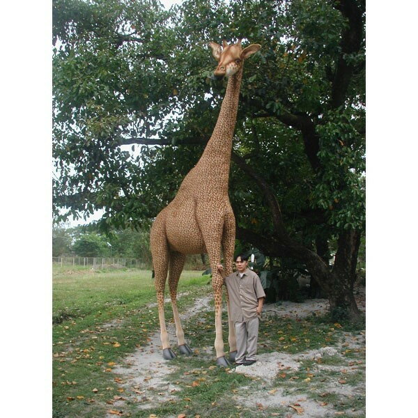 HANSA 3884 キリン480 全長：480cm GIRAFFE BH3884 ぬいぐるみ ハンサ クリスマス 誕生日 プレゼント 動物 犬 猫 鳥 うさぎ ペンギン アニマル 置物 人形 フィギュア KOESEN ケーセン カロラータ 大きい マスコット 実物大 大型