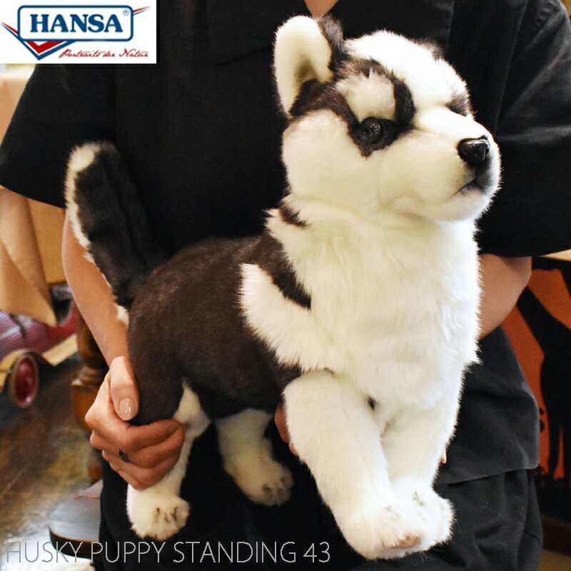 HANSA BH7512 シベリアン・ハスキー(仔) 43 HUSKY PUPPY STANDING 43cm 子犬 こいぬ 犬 ドッグ 愛犬 リアル ぬいぐるみ ハンサ クリスマス 誕生日 プレゼント 動物 アニマル 置物 人形 フィギュア KOESEN ケーセン ハスキー犬 実物大 大型 7512