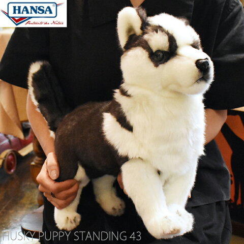 HANSA BH7512 シベリアン・ハスキー(仔) 43 HUSKY PUPPY STANDING 43cm 子犬 こいぬ 犬 ドッグ 愛犬 リアル ぬいぐるみ ハンサ クリスマス 誕生日 プレゼント 動物 アニマル 置物 人形 フィギュア KOESEN ケーセン カロラータ ハスキー犬 実物大 大型 7512