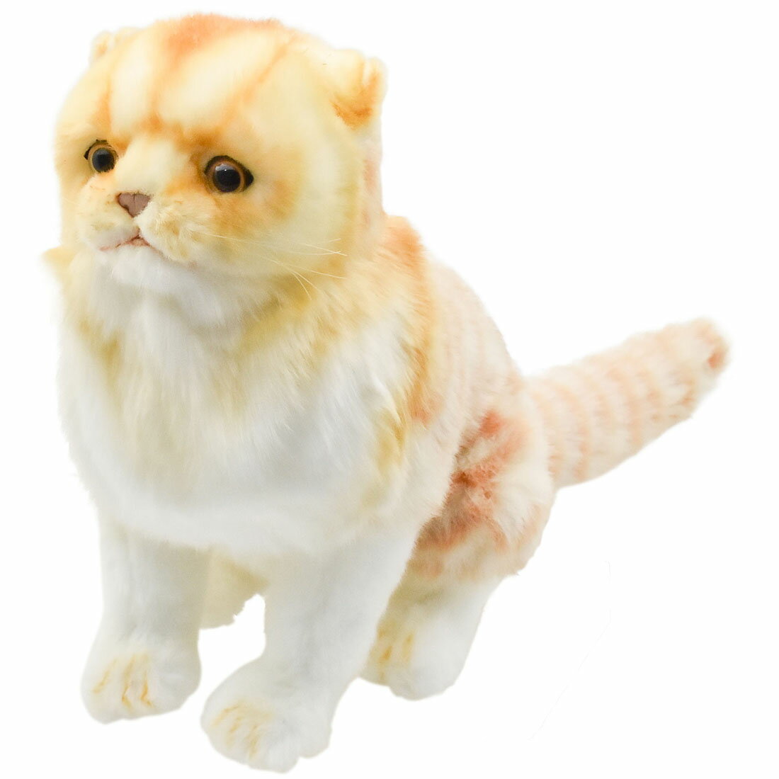 HANSA 8156 スコティッシュフォールド ジンジャー 27cm SCOTTISH FOLD BH8156 ねこ ネコ ぬいぐるみ ハンサ クリスマス 誕生日 プレゼント 動物 犬 猫 鳥 うさぎ ペンギン アニマル 置物 人形 フィギュア KOESEN ケーセン 黒猫 大きい マスコット 実物大 大型