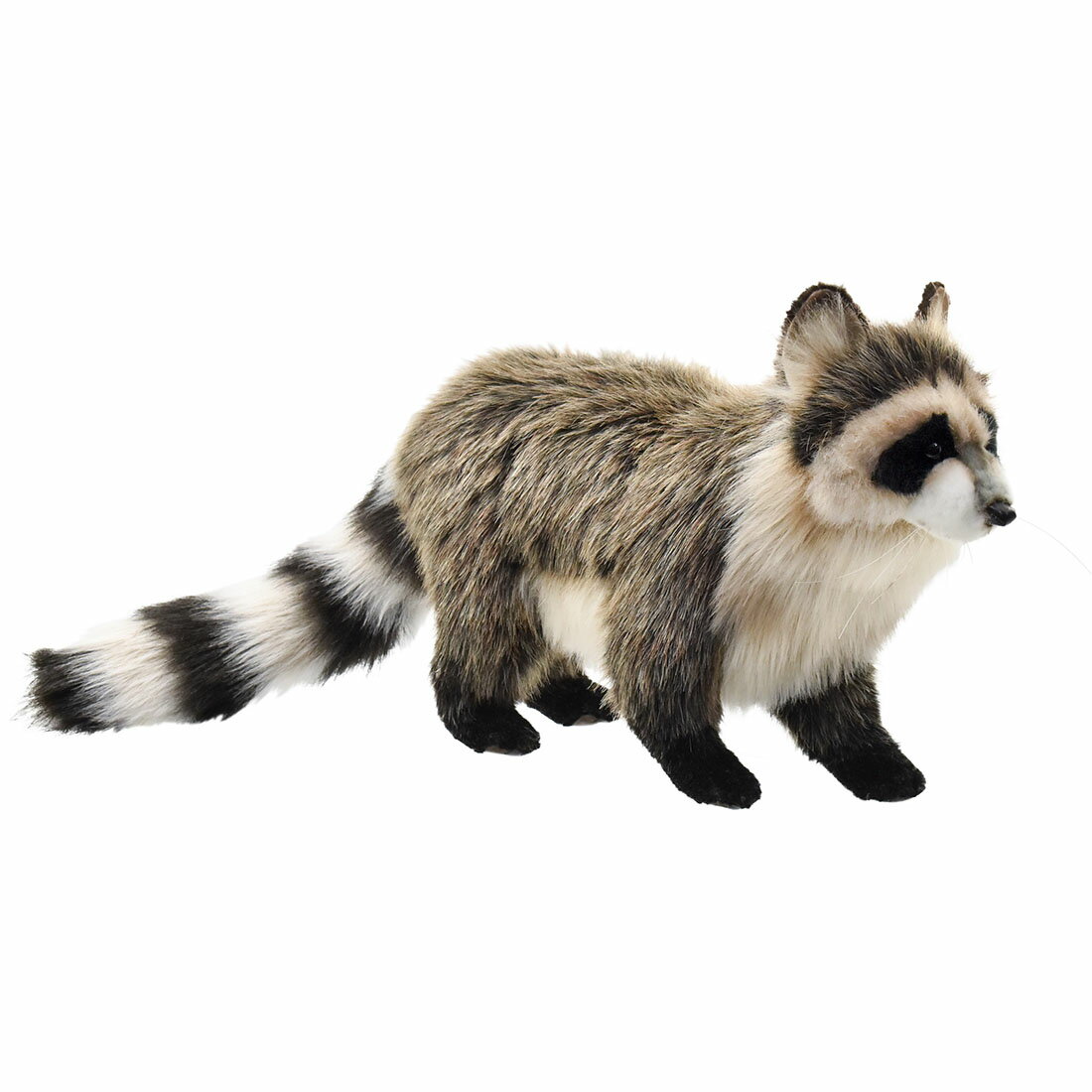 HANSA 5238 アライグマ38 全長：38cm RACCOON STANDING BH5238 ぬいぐるみ ハンサ クリスマス 誕生日 プレゼント 動物 犬 猫 鳥 うさぎ ペンギン アニマル 置物 人形 フィギュア KOESEN ケーセン 大きい マスコット 実物大 大型