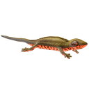 HANSA 8141 アカハライモリ 23 全長：23cm JAPANESE FIRE BELLY NEWT 日本固有種 ぬいぐるみ トカゲ 爬虫類 ヤモリ ハンサ クリスマス 誕生日 プレゼント 動物 犬 猫 鳥 うさぎ ペンギン アニマル 置物 人形 フィギュア 大きい マスコット 実物大 大型