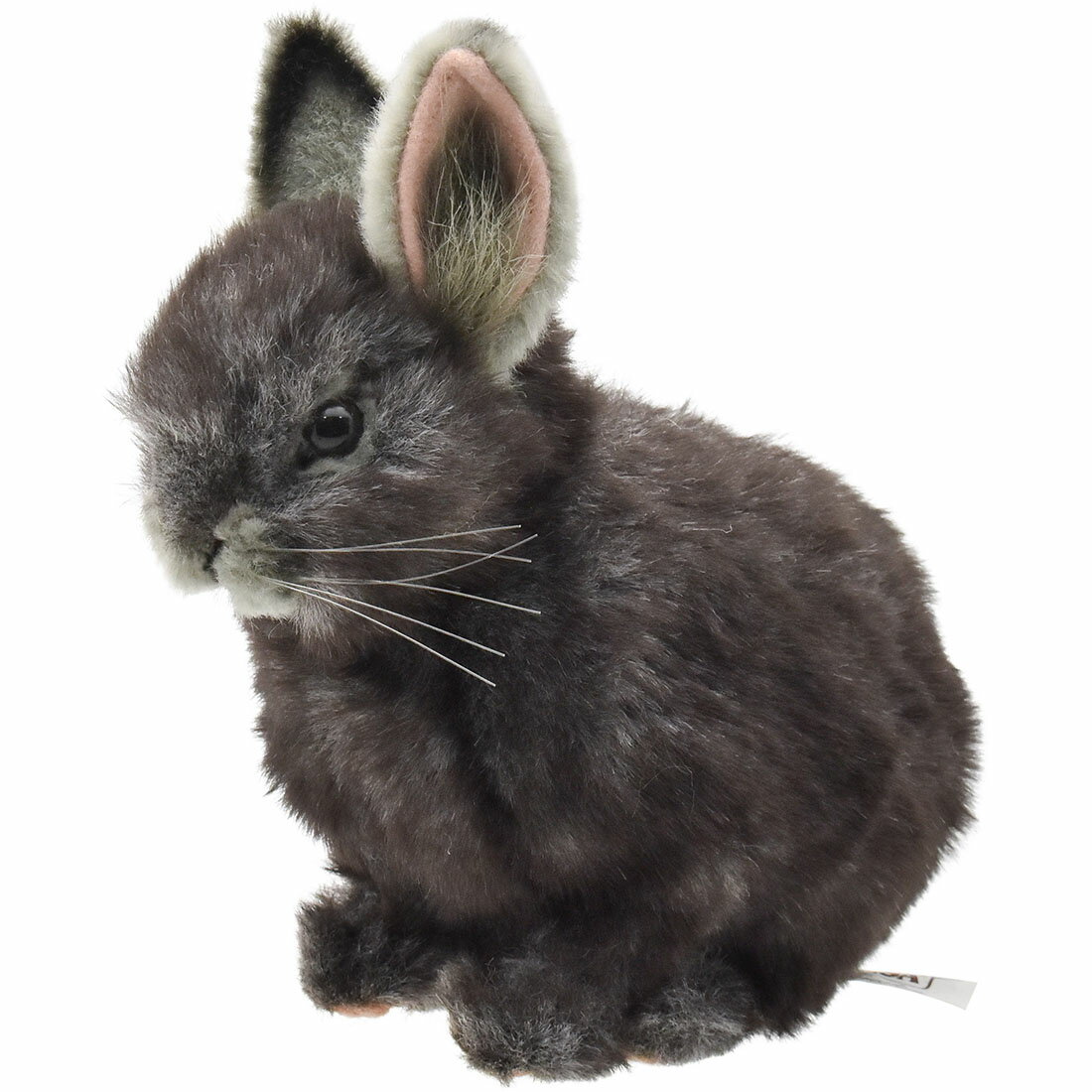 HANSA BH8129 ピグミーウサギ グレー 18 PYGMY RABBIT 野ウサギ リアル ぬいぐるみ ハンサ 誕生日 プレゼント 動物 犬 猫 鳥 うさぎ ペンギン アニマル 置物 人形 フィギュア 大きい マスコット 実物大 大型 ビッグ おすすめ かわいい おしゃれ