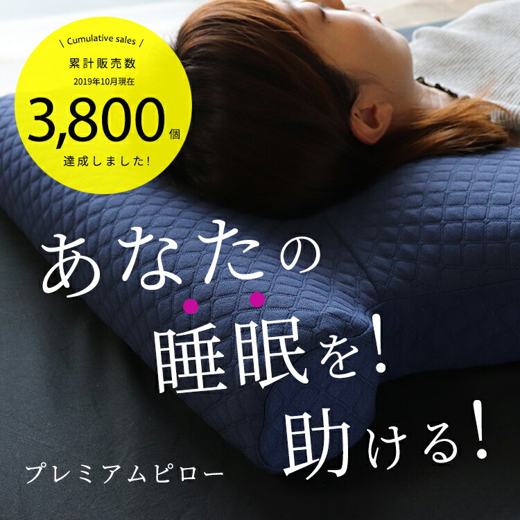 枕 低反発 プレミアムピロー まくら 低反発枕 肩こり 首こり いびき 横向き 仰向け いびき防止 枕カバー おすすめ 選び方 送料無料 ストレートネック 大きい 楽天 快眠 安眠 頸椎 頸椎安定 マクラ 【A_枕1】