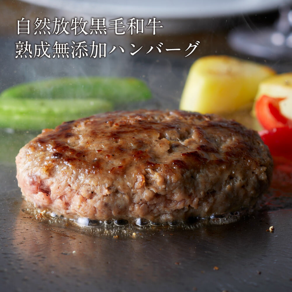 放牧黒毛和牛100%ハンバーグ | 宮崎県産 放牧牛 赤身 ヘルシー 黒毛和牛 無添加 熟成 柔らかい ギフト 贈り物 ハンバーグ 120g 小分け 5個 牛肉100% 冷凍 国産 和牛 牛肉 お肉 生 個包装 真空 惣菜 肉汁 ジューシー 贅沢 高級 ギフト 歳暮 贈答 内祝 母の日 父の日