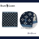 訳あり返品不可 cc-4119 RALPHLAUREN ラルフローレン タオルハンカチ 25×25 ミニタオル ラルフ タオルハンカチ ブランドタオル