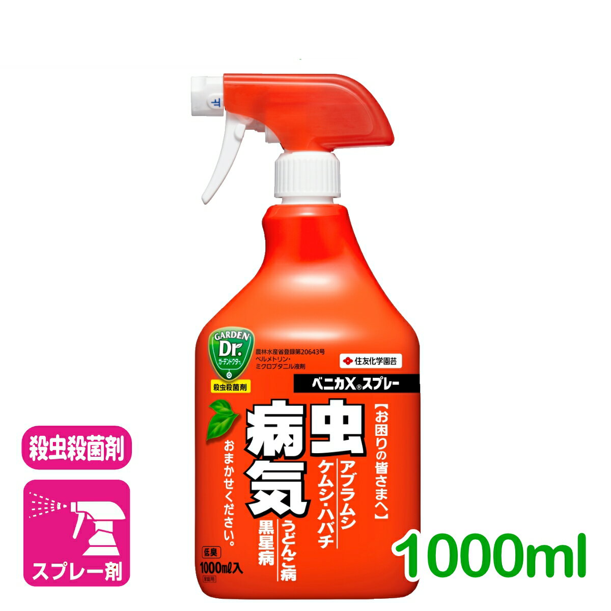 商品情報有効成分ペルメトリン・ミクロブタニル容量1000ml剤型スプレー剤商品特長 草花・花木の害虫と病気を同時に防除します。害虫をノックダウン効果ですばやく退治します。アブラムシには忌避作用もあります。浸透移行性する殺菌成分で、病気の予防と治療に効果的です。植物への展着性が良く、安定性にもすぐれた殺虫殺菌剤です。 使用方法 そのままスプレー適用病害虫と使用方法 ※印は本剤及びそれぞれの有効成分を含む農薬の総使用回数の制限を示す。作物名適用病害虫名希釈倍数&nbsp;使用時期&nbsp;総使用回数※使用方法&nbsp;ばらアブラムシ類、チュウレンジハバチ、うどんこ病、黒星病原液ーー散布きくアブラムシ類、うどんこ病、白さび病サルビアアブラムシ類、タバココナジラミ類（シルバーリーフコナジラミを含む）、うどんこ病かなめもちごま色斑点病はなみずきうどんこ病つばき類チャドクガ花き類・観葉植物（ばら、きく、サルビアを除く）アブラムシ類、うどんこ病（2007年4月11日付：花き類・観葉植物（きく、ばら、サルビアを除く）の追加、サルビアの追加、きくの変更、ばらの変更）（2008年6月19日付：注意事項の追加）（2012年6月13日付：かなめもち、はなみずきの追加） 効果・薬害等の注意 1.重複散布や多量散布は注意してください（薬害）。2.適用作物群に属する作物又はその新品種にはじめて使用する場合は、使用者の責任において事前に薬害の有無を十分に確認してから使用してください。なお、病害虫防除所または販売店等と相談することが望ましいです。 安全使用上の注意 カイコ注意1.体調のすぐれない時は散布しないでください。2.人に向かって噴射しないでください。3.かぶれやすい人は取扱いに十分注意してください。4.風向きなどを考え周辺の人家、自動車、壁、洗濯物、ペット、玩具などに散布液がかからないように注意して ください。5.作業中や散布当日は散布区域に小児やペットが立ち入らないように配慮してください。6.蚕に長期間毒性があるので、付近に桑園があるところでは使用しないでください。7.ミツバチに影響がありますので、注意して使用してください。8.街路、公園等で使用する場合、散布区域に縄囲いや立て札を立て、散布中及び散布後（最小限その当日）に関係者以外は立ち入らせないでください。小児、人畜等に留意してください。9.使用後の空容器は 3 回以上洗浄してから処理してください。治療法：ペルメトリンにはメトカルバモール製剤の投与が有効です（動物実験で報告）。検索キーワード観葉植物 花 庭 ガーデニング 園芸 殺虫剤 殺菌剤 殺虫殺菌剤 病害虫 アブラムシ 白さび病 うどんこ病 黒星病 ごま色斑点病ベニカXスプレー 1000ml 住友化学園芸 草花・花木の害虫と病気を同時に防除！ 2