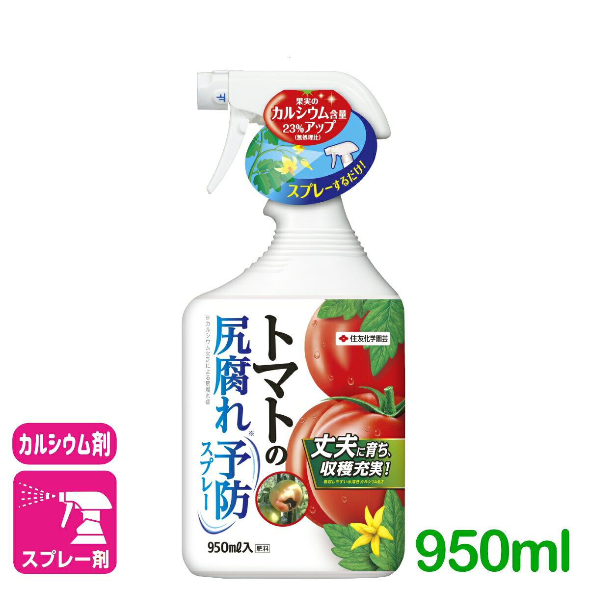 商品情報成分水溶性カルシウム内容量950ml剤型スプレー剤商品特長 カルシウム欠乏によるトマトの尻腐れ症を予防します。植物が吸収しやすい水溶性カルシウム処方を採用した簡単便利なスプレーです。果実のカルシウム含量がアップして、健康な果実を育て、収穫が充実します。(トマトの「尻腐れ症」はカルシウム欠乏による生理障害です。土壌中のカルシウム不足だけでなく、土壌の酸性化や乾燥が続く場合、そして肥料の与え過ぎによるチッ素過多によって肥料バランスが崩れる場合にも、カルシウム吸収が抑制され、発生しやすくなります) 使用方法散布「出」を上部に合わせて、トリガーをまっすぐ引いて使用してください。使用後は「止」に合わせてください。●破損、液漏れをさけるため、落下や横転させない。横置きしない。又、「止」でトリガーを引かない。●噴口を人に向けないでください。●他の液を入れないでください。●残液が少ない場合、散布角度によって、出にくくなることがあります。対象作物 野菜 トマト使用量の目安 使用時期使用間隔使用回数使用量(各花房1 回当り)使用方法各花房の開花時〜幼果期(果実がピンポン球ぐらいになるまで)1 週間に1 回1花房につき3〜4回20〜30ml(約20〜30プッシュ)散布●尻腐れ症の予防効果は土壌環境(pH、乾湿)、生育温度、肥培管理など生育条件によって変動します。●本品はカルシウム成分を含みますが、チッ素、リン酸、カリなどの肥料成分は含んでいません。トマトの栽培には必ず肥料(マイガーデンベジフル、ベジフル液肥など)を与えてください。 注意事項 1．飲み物ではないので飲まないでください。2．眼に入った場合、皮膚に付着した場合は水で洗い流してください。3．かぶれやすい体質の人は取扱いに十分注意してください。4．衣服等に付着すると汚れの原因となるので注意してください。5．家具、金属製品、大理石、御影石、コンクリート等に液が付着すると変色するおそれがあるので注意してください。検索キーワードトマト 尻ぐされ花 庭 ガーデニング 園芸 肥料 液体肥料 液肥トマトの尻腐れ予防スプレー 950ml 住友化学園芸 丈夫に育ち、収穫充実！トマトの尻腐れ（カルシウム欠乏による尻腐れ症）予防に 2
