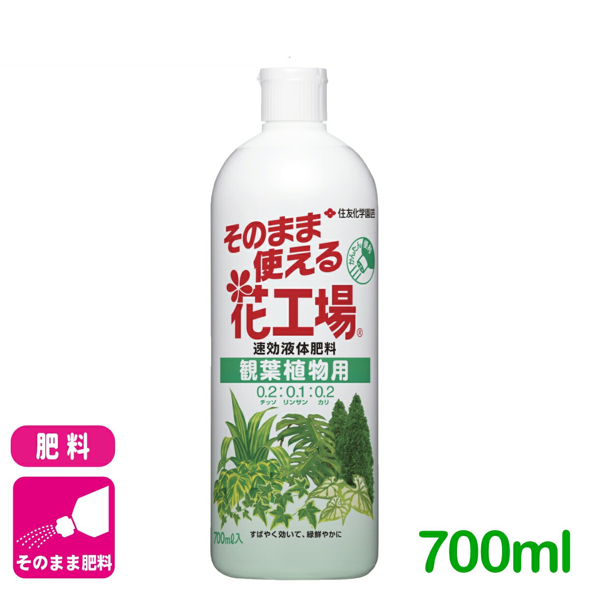 商品情報成分N：P：K＝0.2：0.1：0.2内容量700ml剤型ストレートタイプ商品特長うすめずそのまま使える、かんたん便利な、すばやい効きめの液体肥料です。葉色の鮮やかさを楽しむ、ポトス、ドラセナ、ベンジャミン等の観葉植物におすすめです。使用方法そのまま散布1．ワンタッチキャップをあけます。2．土に直接散布します。鉢のサイズ標準使用量5〜6号鉢（直径15〜18cm）10ml(1/2目盛)7〜8号鉢（直径21〜24cm）20ml(1目盛)&nbsp;●肥料の要求度は植物により様々です。上記使用量を目安に、植物の種類、生育状況にあわせ、加減してください。●ボトル側面の目盛は1目盛で約20mlです。●生育期に7〜10日毎に1回、鉢の大きさに合わせて必要量を与えてください。●水やり後など土が湿っているときに与えてください。●1ヵ所に集中せず、土の表面に均等に染み込むように与えると効果的です。●生育期に粒状肥料（マイガーデンシリーズ）を併せて与えるとさらに効果的です。●鉢数が多い場合は、水でうすめる濃縮タイプの「花工場原液」が経済的です。検索キーワード観葉植物 ガーデニング 園芸 肥料 液体肥料 液肥 ユッカ カポック パキラ ガジュマル モンステラ サンスベリア ウンベラータそのまま使える花工場 観葉植物用 700ml 住友化学園芸 観葉植物を緑鮮やかに。すばやい効きめの液体肥料です 2