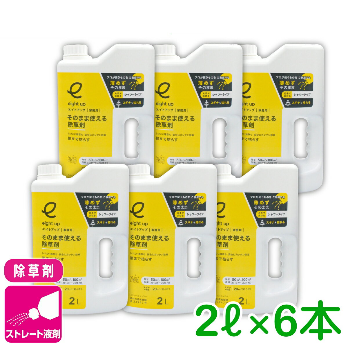 �ޤȤ��㤤 6�ܥ��å� ����� �����ȥ��åפ��Τޤ޻Ȥ������� 2L��6�ܥ��å� ���������������� ��³ ®�� �� Ȫ ������ ���ս��� �鿴�Ը��� �ӥ��ʡ�����