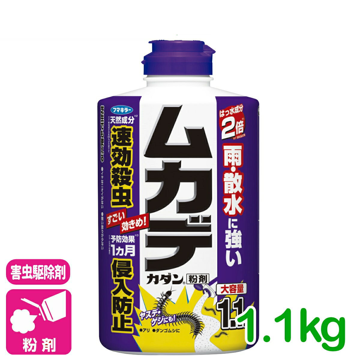 �५�� ����� �५�ǥ�����ʴ�� 1.1kg �եޥ��顼 ��� �༣ ʴ�� �鿴�Ը��� �ӥ��ʡ�����