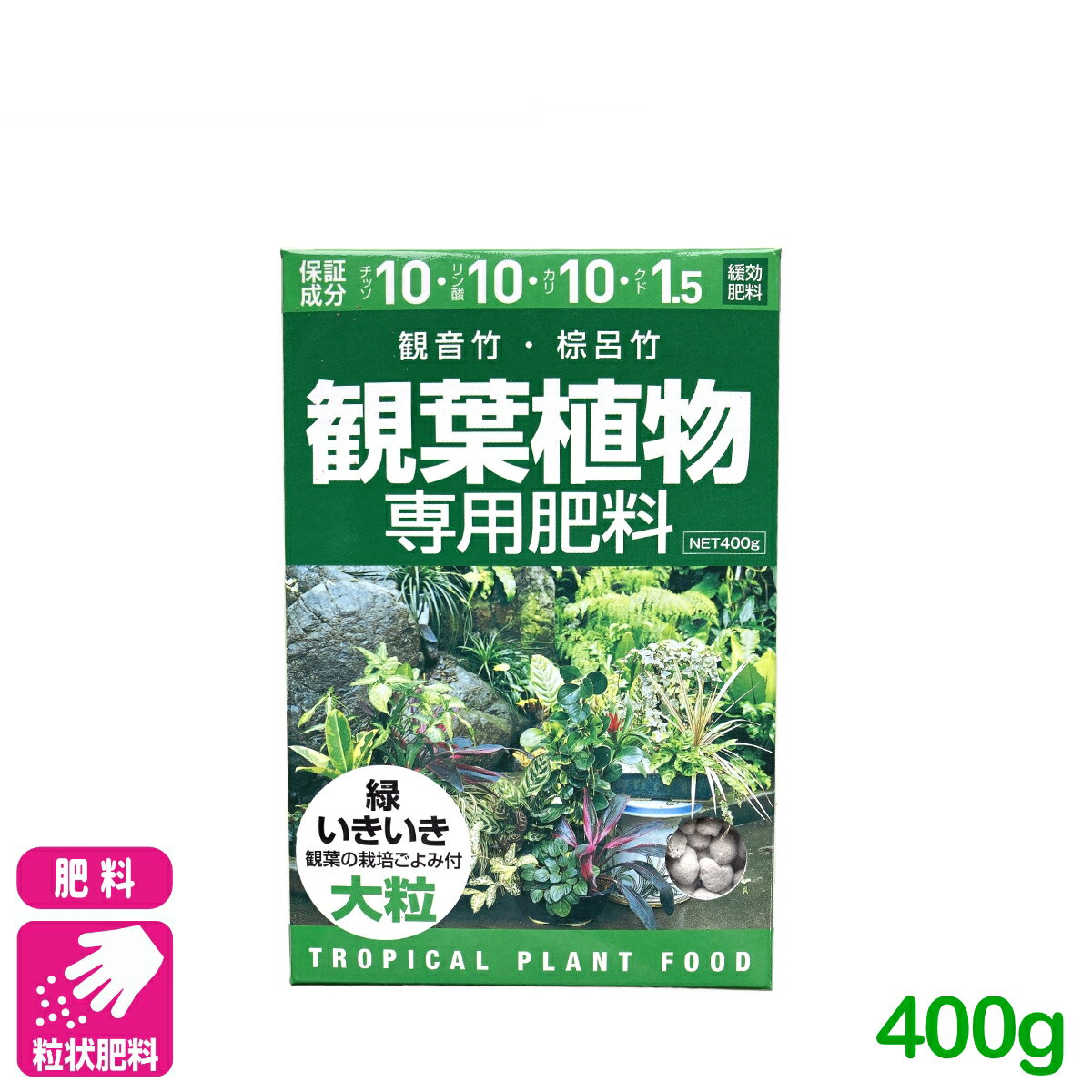 観葉植物 肥料 観葉植物専用肥料 400g アミノール化学研究所 観音竹 棕櫚竹 園芸 ガーデニング 初心者向け ビギナー向け