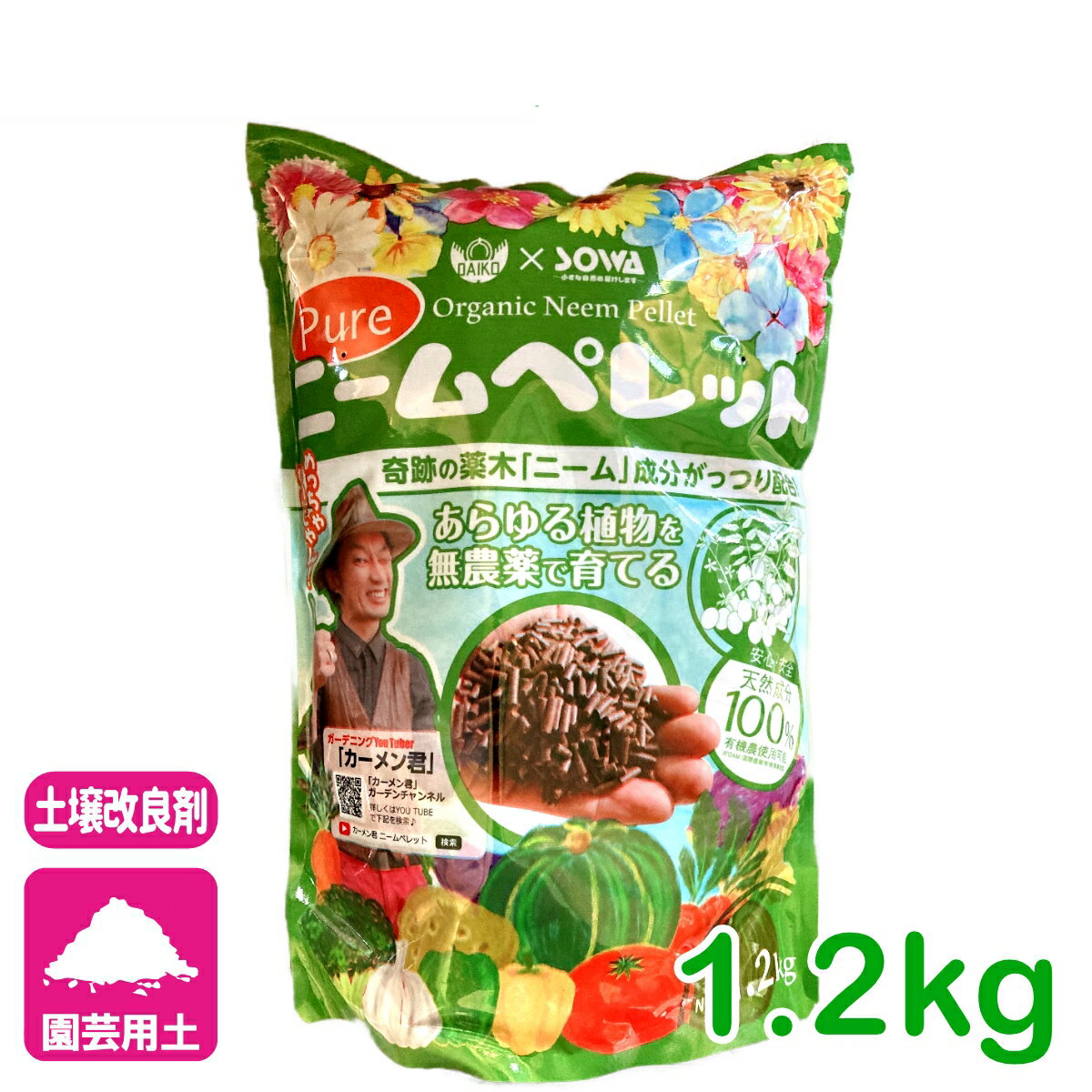 ���� �ھ����ɺ� �ԥ奢�ˡ���ڥ�å� 1.2kg �������� ͭ�� �ˡ��� ��� �����ǥ˥� �������
