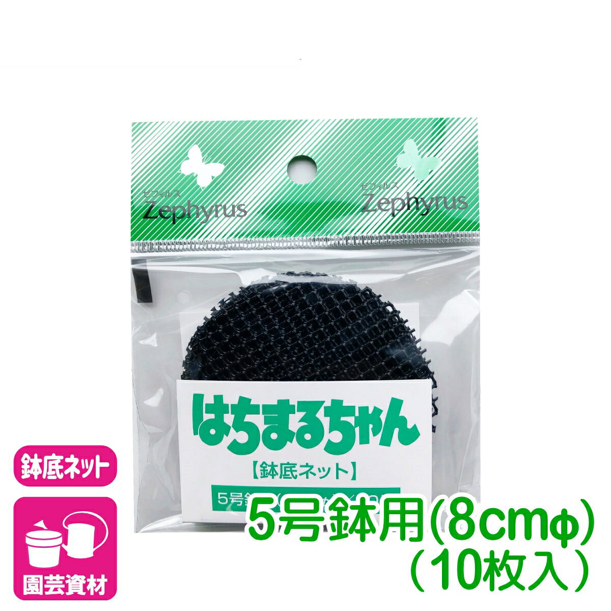 ȭ��ͥå� �Ϥ��ޤ����� 5���ľ��8cm�� 10���� �ޥĥ�� ��� �����ǥ˥� �鿴�Ը��� �ӥ��ʡ�����