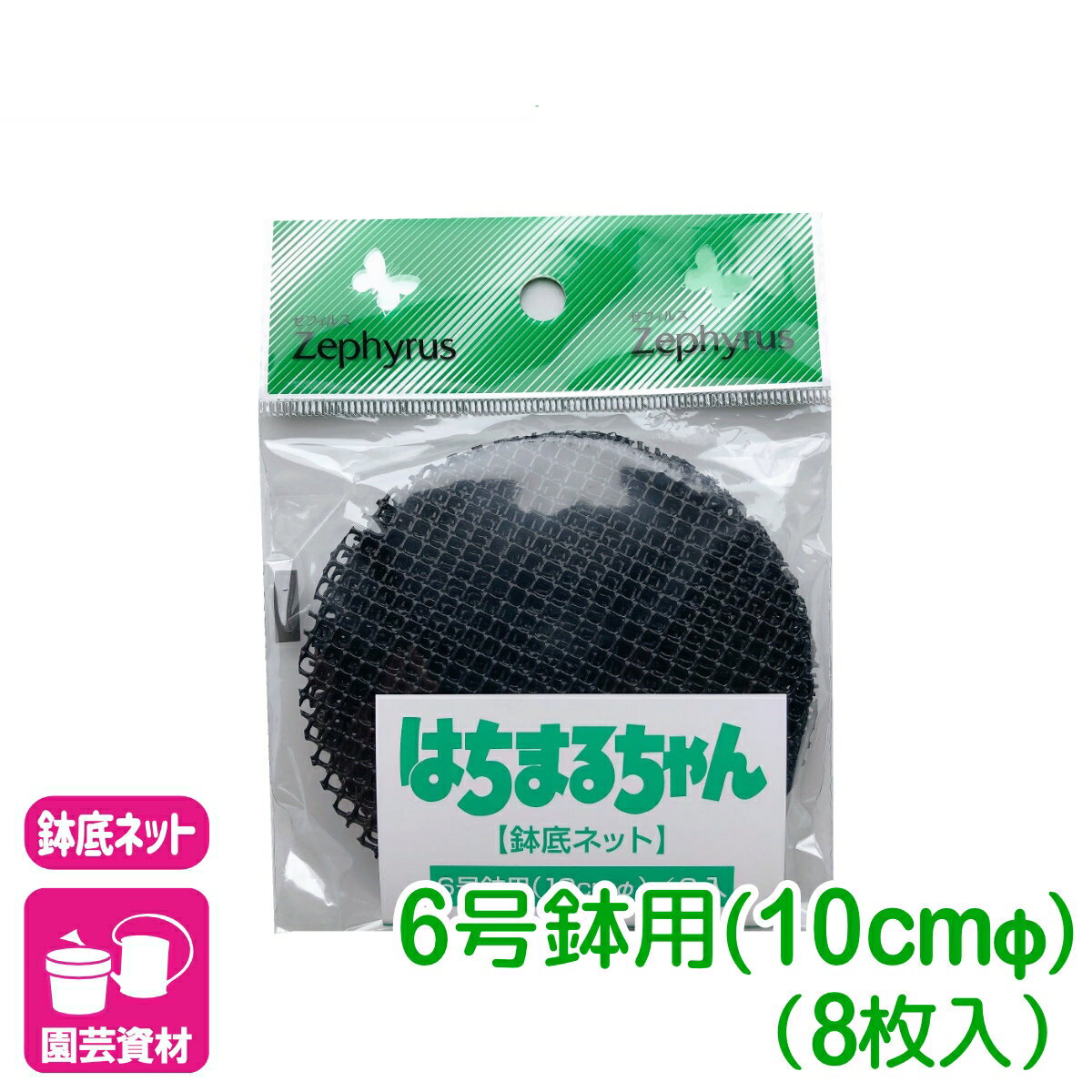 ȭ��ͥå� �Ϥ��ޤ����� 6���ľ��10cm�� 8���� �ޥĥ�� ��� �����ǥ˥� �鿴�Ը��� �ӥ��ʡ�����