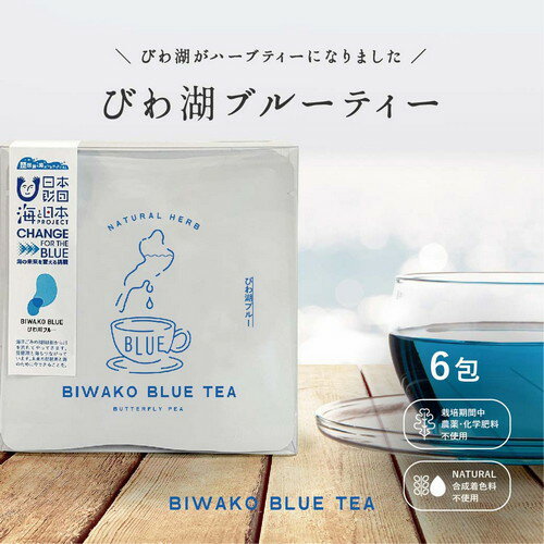 【店内全品対象クーポンあります！】　【びわ湖ブルー】びわ湖ブルーティー【6包入り】