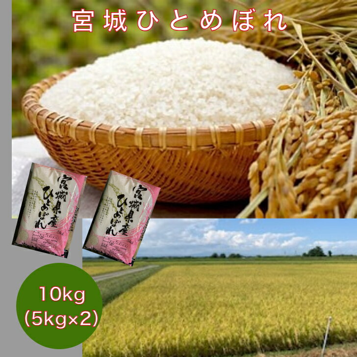 宮城産 ひとめぼれ 宮城ひとめぼれ10kg（5kg×2袋）新米 令和5年産 国内精米 国産米 精米 宮城県産 検査米 一等米 ひとめぼれ 10kg 米10kg 米10キロ 5kg×2袋 米5kg 米5キロ お米 ごはん 白米 おにぎり 送料無料 即日発送 米処 食材 食材王国みやぎ 贈答用 家庭向け 一人暮らし rice