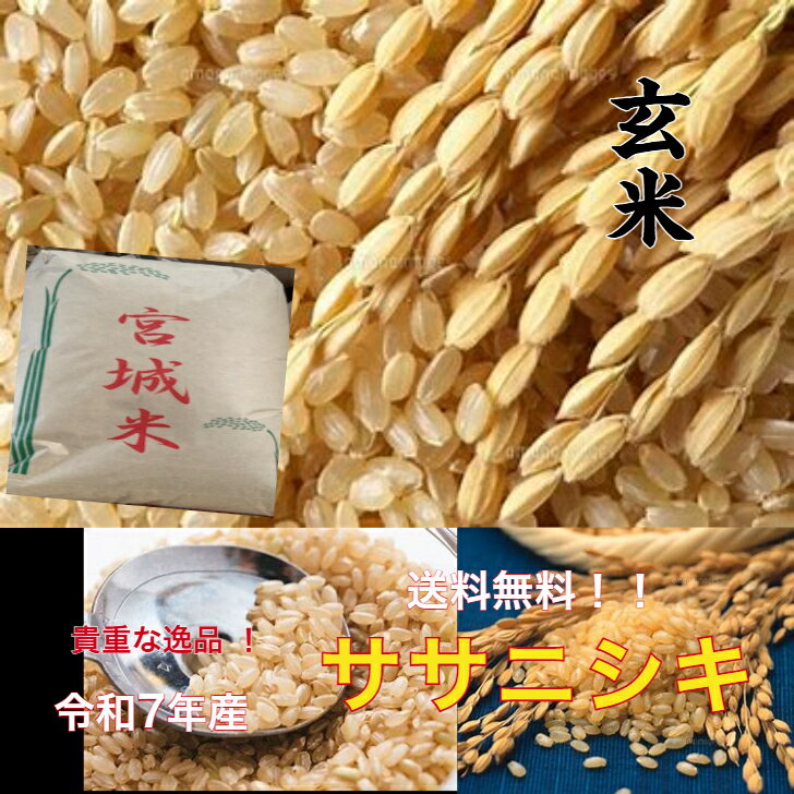 宮城ササニシキ　玄米30kg米 新米 令和7年産 ササニシキ 玄米30kg お米30kg 玄米 一等米 1等米 ブラン..