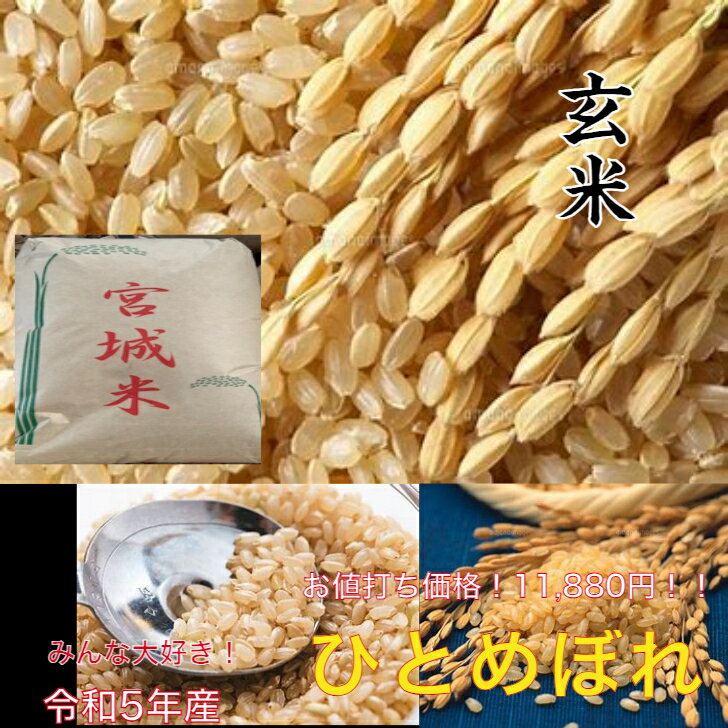 宮城産 ひとめぼれ 宮城ひとめぼれ　玄米30kg新米 令和5年産 玄米30kg 玄米30kg お米30kg お米30kg 玄米 検査米 一等米 1等米 ブランド米 宮城県産 ひとめぼれ 米30kg 米30キロ お米 ごはん 玄米食 おにぎり 送料無料 米処 食材 rice 食材王国みやぎ 健康 贈答 家庭向け 開店記念 特別価格