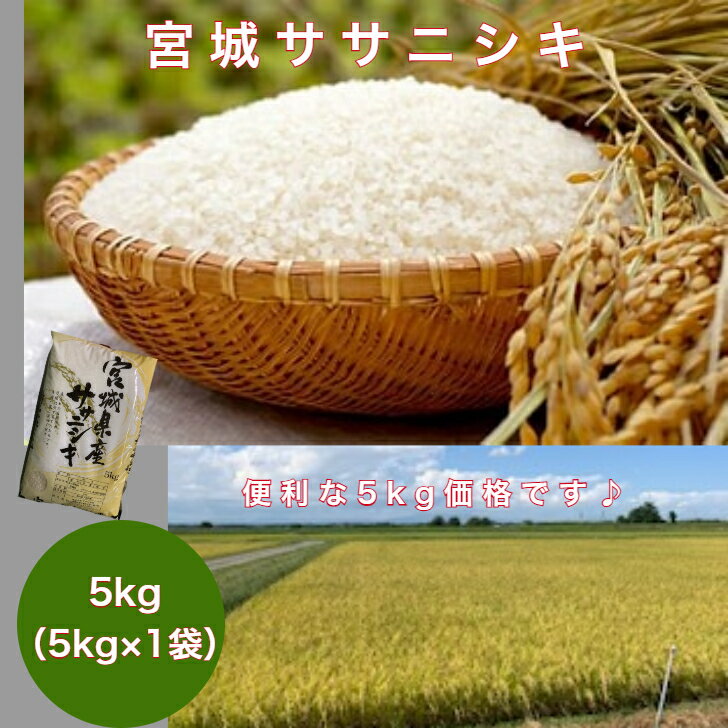宮城ササニシキ（5kg×1袋）新米 令和6年産 国産米 精米 ササニシキ 宮城米 米5kg 5kg×1袋 お米 ご飯 白米 おにぎり 送料無料のサムネイル