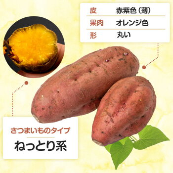 宮崎県産さつまいも苗 安納芋 500本 野菜苗 苗物 芋苗 芋苗 野菜の苗物 家庭菜園 4月中旬以降のお届け サツマイモ 苗 アグリショップひむか安納芋 家庭菜園 農業用に焼くとクリーミーな高糖度のさつまいも苗 赤芋 蜜芋 宮崎県産さつまいも苗 安納芋 500本 野菜苗 苗物 芋苗 芋苗 野菜の苗物 家庭菜園 4月中旬以降のお届け サツマイモ 苗 アグリショップひむか安納芋 家庭菜園 農業用に焼くとクリーミーな高糖度のさつまいも苗 赤芋 蜜芋