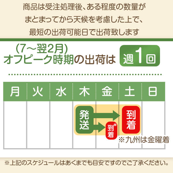 芝生姫高麗芝10平米【クール便】【送料無料】(ただし北海道/沖縄/離島を除く)