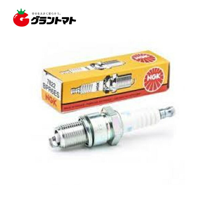 樂天商城 - NGK スパークプラグ BPR6ES 7822 分離形 10本入り NGK