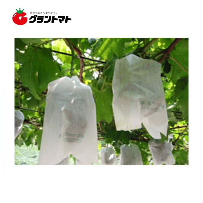 クーポン利用でMax1,000円OFF！ ぶどう袋H1号205×300 3000枚 (100枚×30セット) 箱売り