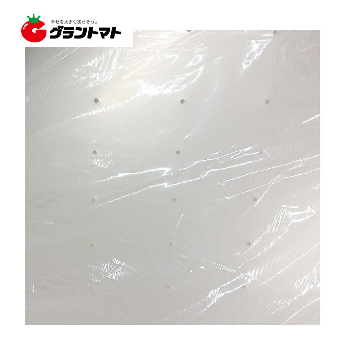 ��󥿥å�������500���100���5�� 575mm��275mm �ץ饹���å��� ����Ȣ�����߻�