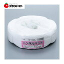 マラソン期間中P3倍 トンネルバンド10個(1×10)白 15mm×500m (ハウスバンド) 日栄産業